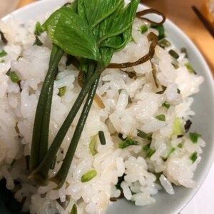 山菜の女王☆コシアブラ香る混ぜご飯